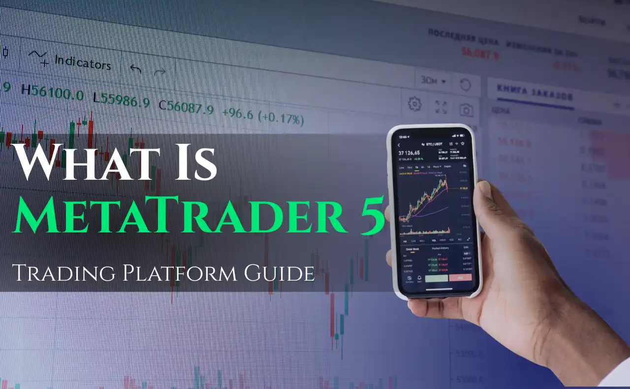 MetaTrader 5 Complete Platform Overview